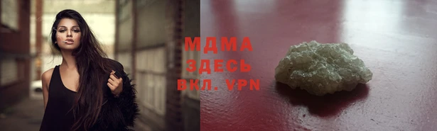 дживик Туринск