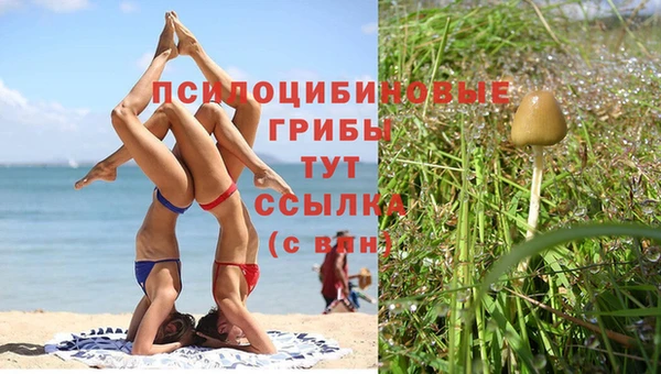 стафф Липки